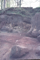 Doc Mine